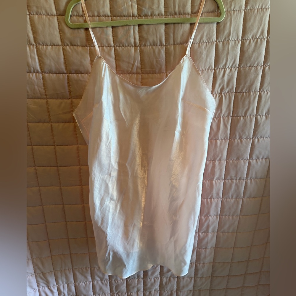 Victoria's Secret Sheer Pink Slip